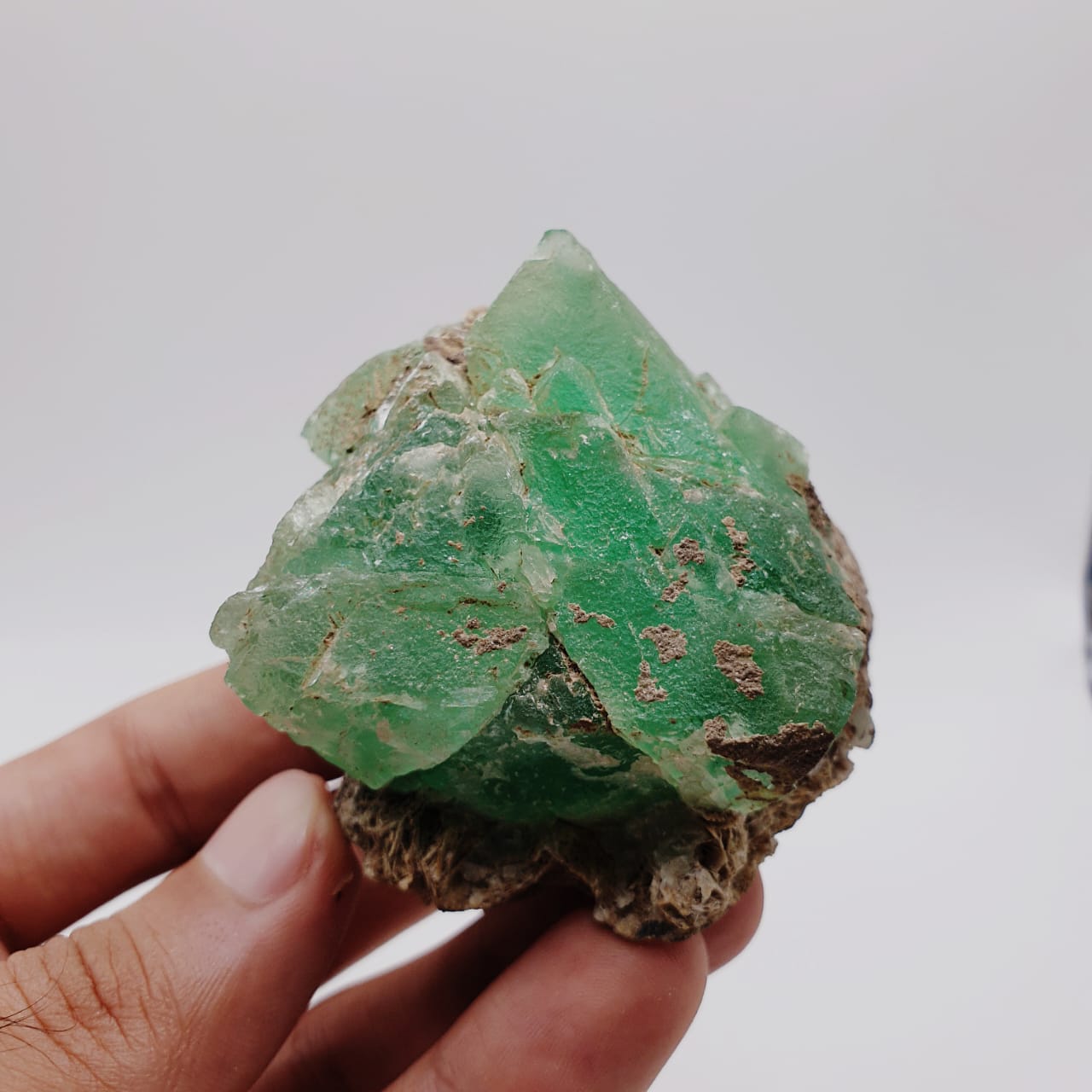 Saturated Forest Green Color Fluorite On Muscovite