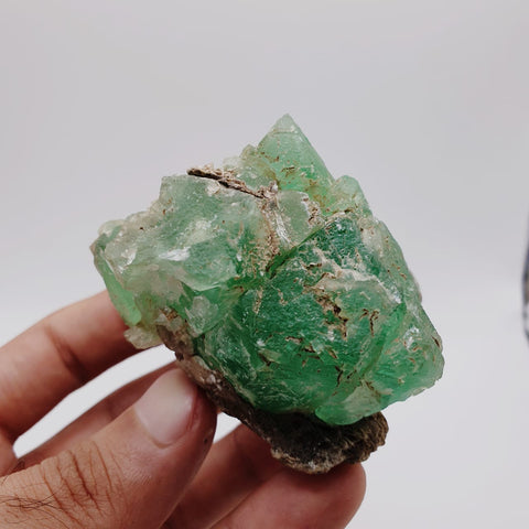 Saturated Forest Green Color Fluorite On Muscovite