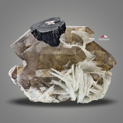 Schorl On Smoky Quartz With Cleavelandite And Lepidolite