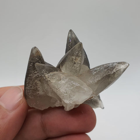 Start Burst Cluster Of Calcite With Marcasite Inclusion