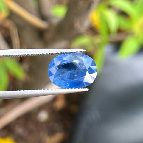 Stunning Cornflower Blue Sapphire Gemstone