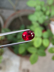 Stunning Deep Red Rubelite Tourmaline Gemstone