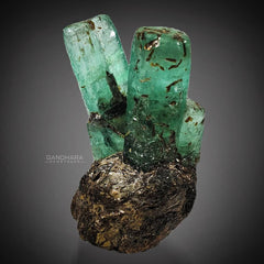 V Shape Gemmy Emerald Crystals on Muscovite Matrix