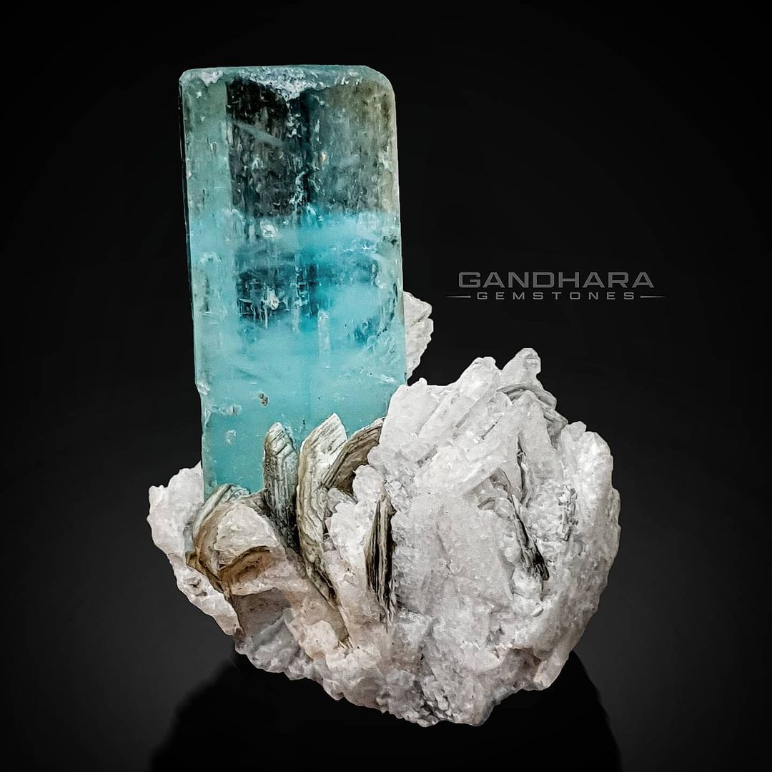 Vibrant Blue Aquamarine Crystal on Albite with Muscovite