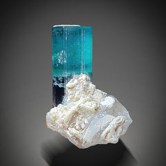 Vibrant Blue Indicolite Tourmaline Crystal on Quartz