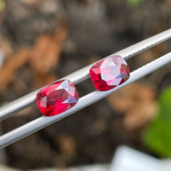 Loose Spinel