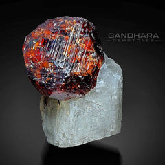 Vivid Red Spessartine Garnet Ball Perched on Albite