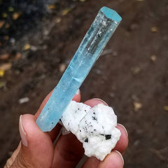 Highly aesthetic double terminated Aquamarine crystal perched on white snowy Albite matrix