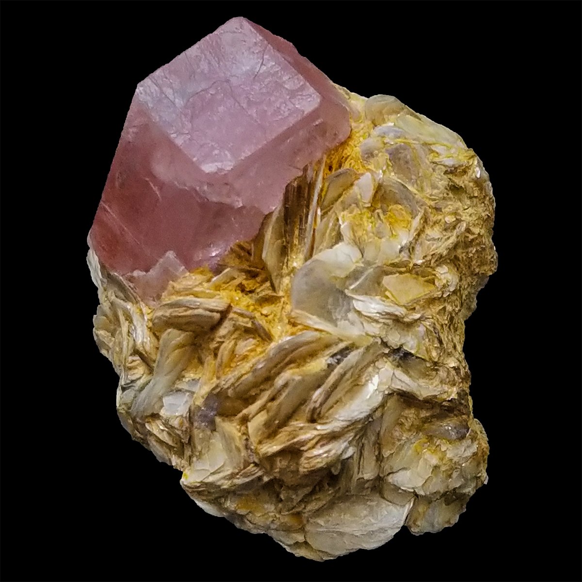 Nice deep pink color complete Apatite crystal grow on Muscovite matrix