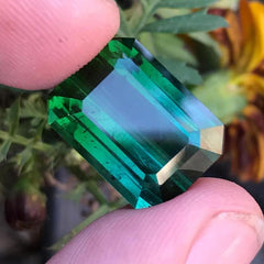 18.10 ct Natural Loose Bicolor Faceted Tourmaline