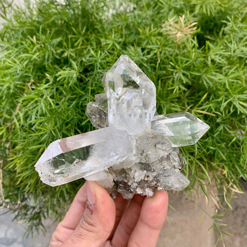 Gorgeous Robust Quartz Cluster With Chlorite Inclusion