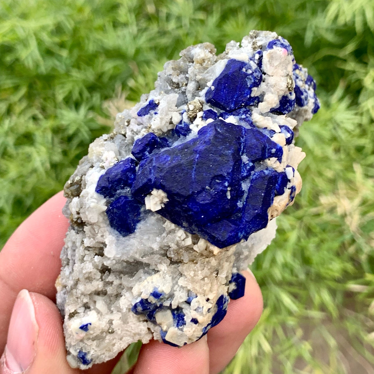 Azure Blue Focal Crystal Lazurite On White Calcite Matrix