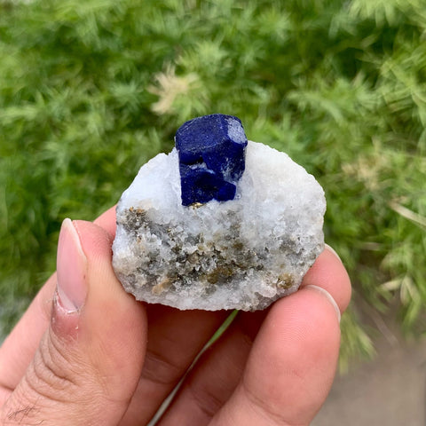 Adorable Focal Crystal Of Lazurite Nicely Positioned On Calcite Matrix