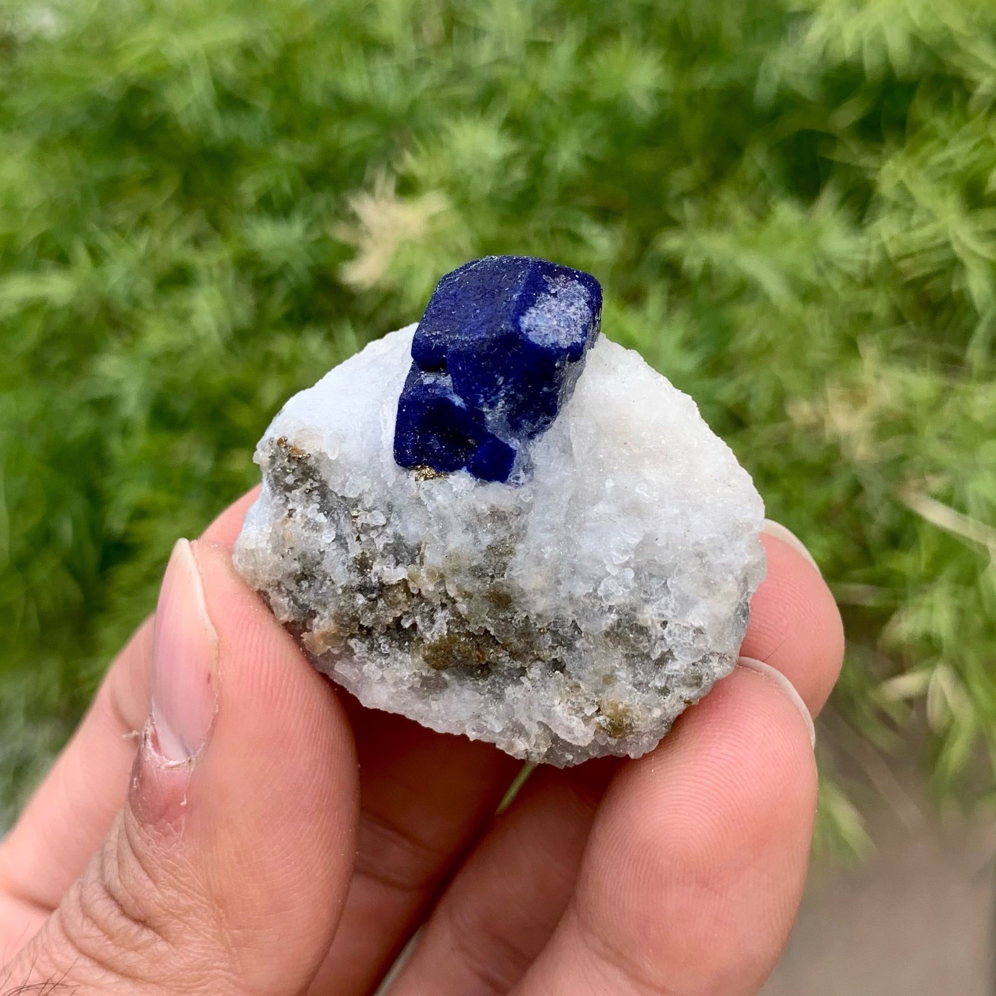 Adorable Focal Crystal Of Lazurite Nicely Positioned On Calcite Matrix